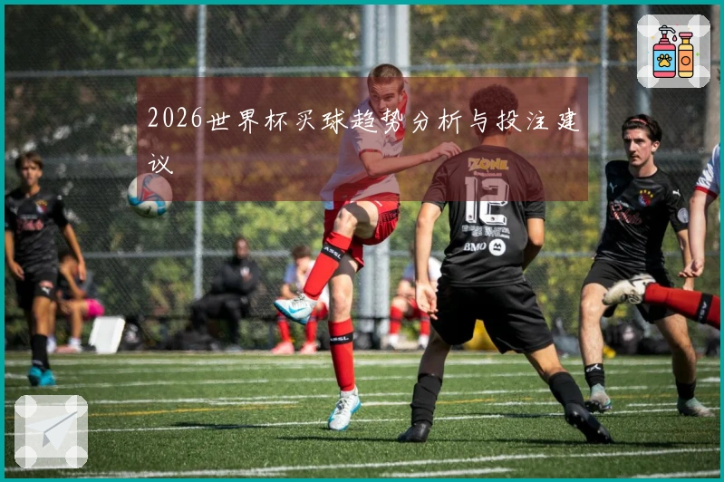 2026世界杯买球趋势分析与投注建议