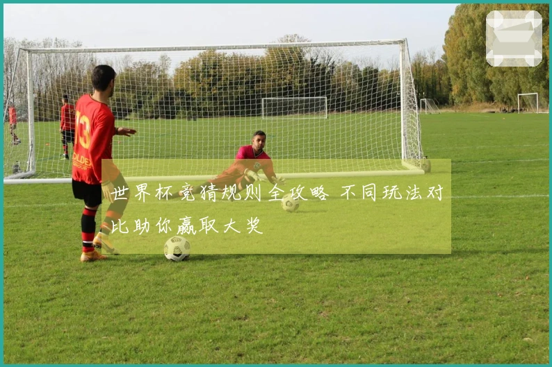 世界杯竞猜规则全攻略 不同玩法对比助你赢取大奖