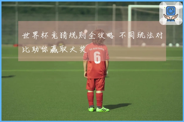 世界杯竞猜规则全攻略 不同玩法对比助你赢取大奖