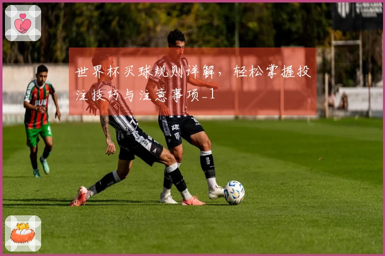 世界杯买球规则详解，轻松掌握投注技巧与注意事项_1