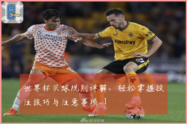 世界杯买球规则详解，轻松掌握投注技巧与注意事项_1